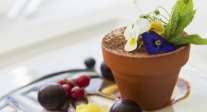 Maceta de tiramisú